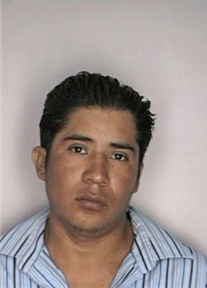 Delacruzflores Esteban - Hillsborough County, FL 