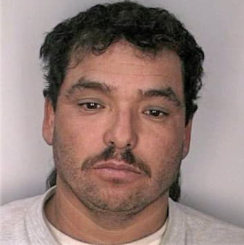 Mendozarodriguez Mario - Hillsborough County, FL 