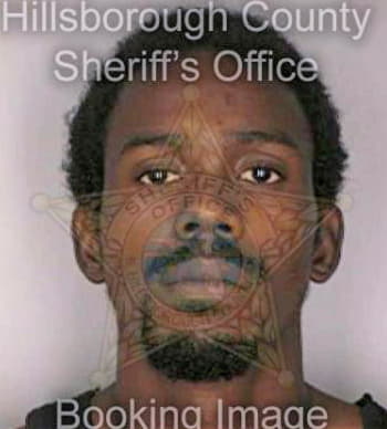 Johnson Tyrone - Hillsborough County, FL 