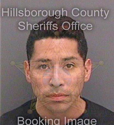 Gonazles Javier - Hillsborough County, FL 