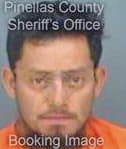 Alvarezsanjuan Jose - Pinellas County, FL 