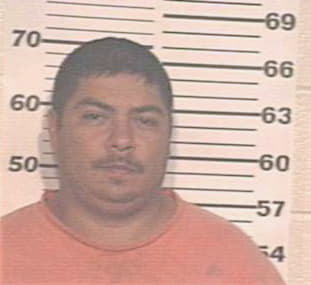 Lugo Luis - Hidalgo County, TX 