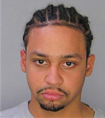 Lamothe Raynald - Hillsborough County, FL 