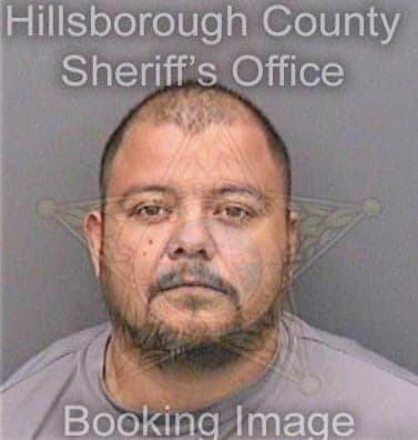 Mena David - Hillsborough County, FL 