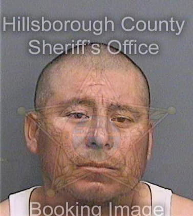 Garciasalvador Hermenejildo - Hillsborough County, FL 