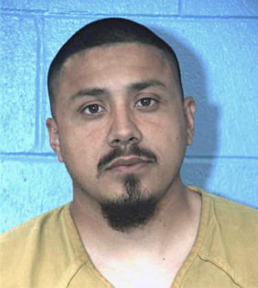 Avalos Matthew - Williamson County, TX 