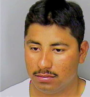 Ramirez Roberto - Polk County, FL 