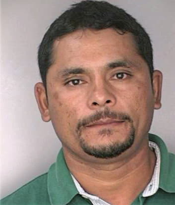 Juarez Luis - Hillsborough County, FL 