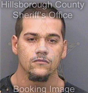 Rosario Michael - Hillsborough County, FL 