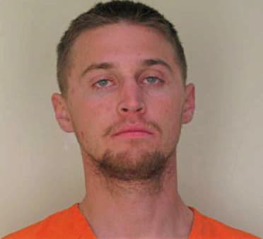 Foreman Patrick - Hillsborough County, FL 