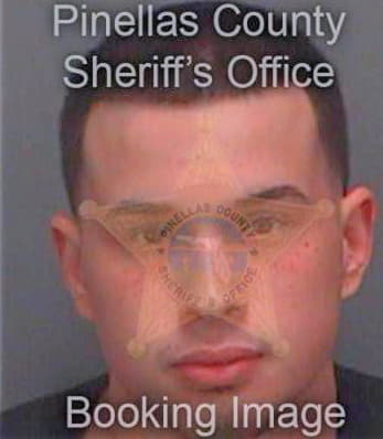 Pedre Steven - Pinellas County, FL 