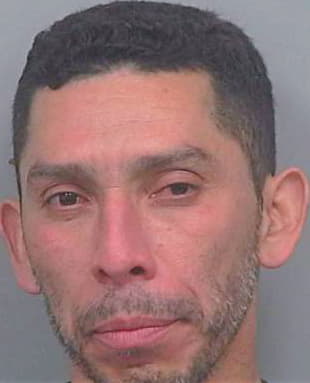 Guevara Trinidad - Gwinnett County, GA 