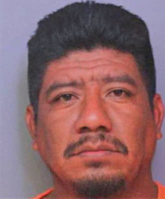 Lopez Margarito - Polk County, FL 