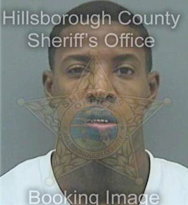 Johnson Ray - Hillsborough County, FL 