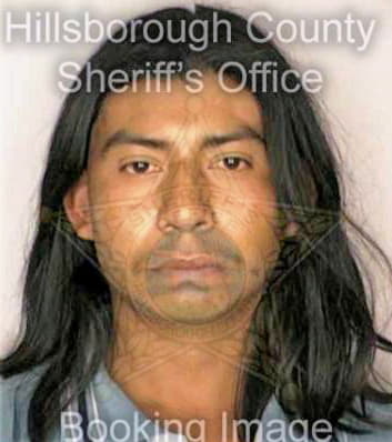 Solis Adolfo - Hillsborough County, FL 