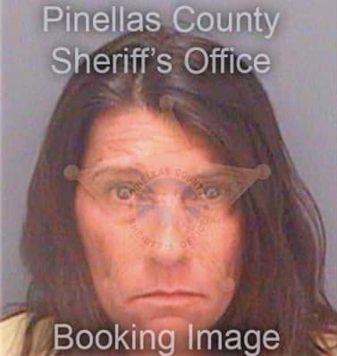 Lawrence Andreanna - Pinellas County, FL 