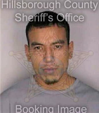 Ponce Arturo - Hillsborough County, FL 