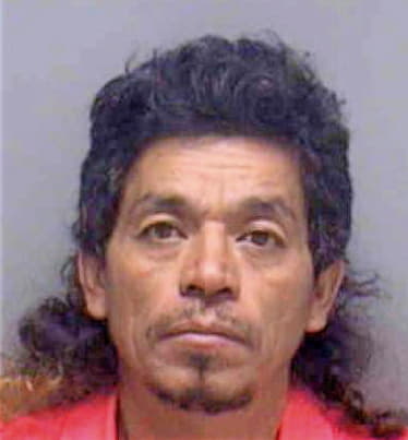 Martinez Martin - Lee County, FL 