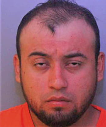 Cedano Bertin - Polk County, FL 