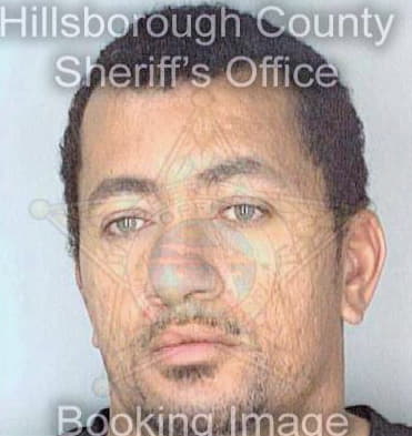 Robinson Edward - Hillsborough County, FL 