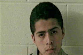 Hernandez Gerardo - Newton County, GA 