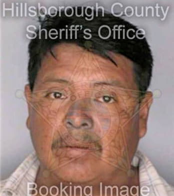 Ramirez Perfecto - Hillsborough County, FL 