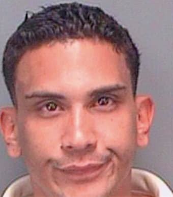 Maldanado Waldemar - Pinellas County, FL 