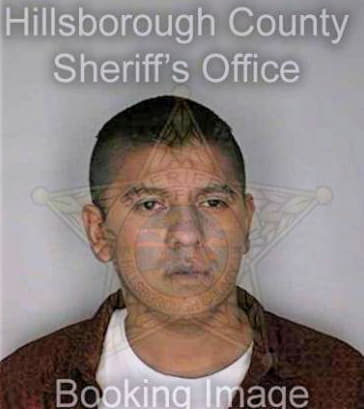 Romeropatricio David - Hillsborough County, FL 