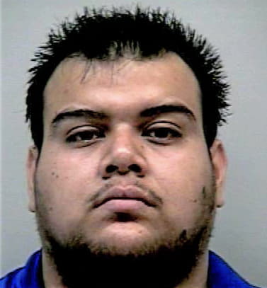 Paniagua-Ramirez Alejandro - Gwinnett County, GA 