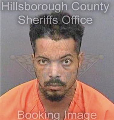 Burnett Devin - Hillsborough County, FL 