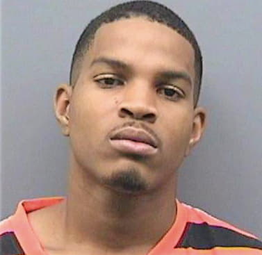 Timmons Eric - Hillsborough County, FL 
