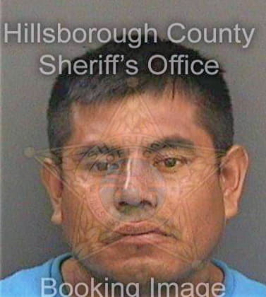 Gregoriodejesus Mario - Hillsborough County, FL 