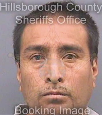 Alegromarcos Pedro - Hillsborough County, FL 