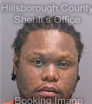 Michel Jacky - Hillsborough County, FL 