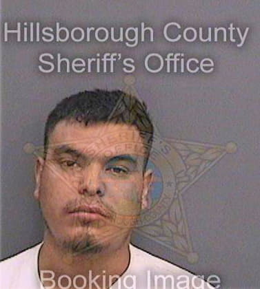 Hurtadobarcenas Jose - Hillsborough County, FL 