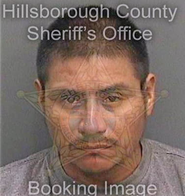 Deleon Teofilo - Hillsborough County, FL 