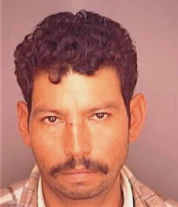 Alcantar Adolfo - Polk County, FL 