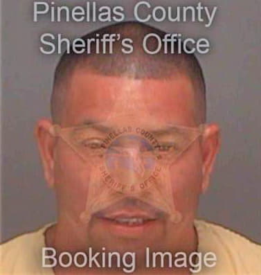 Delgado Joel - Pinellas County, FL 
