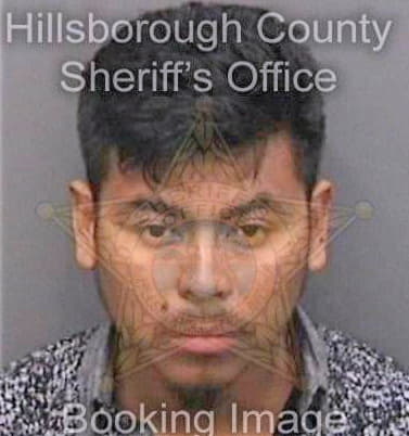 Delacruzalejo Abel - Hillsborough County, FL 