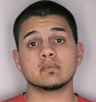 Delvalle Felix - Hillsborough County, FL 
