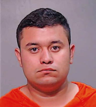 Flores Heriberto - Hidalgo County, TX 
