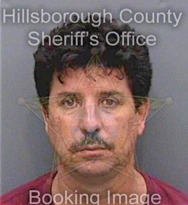 Palaciosgallego Victor - Hillsborough County, FL 