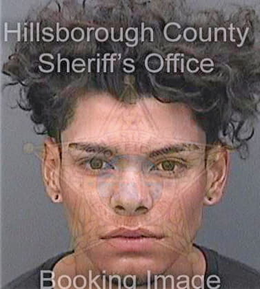 Garduno Cristian - Hillsborough County, FL 