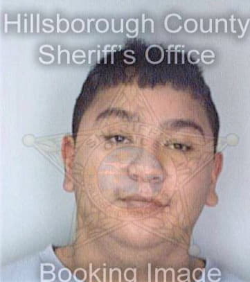 Lara David - Hillsborough County, FL 
