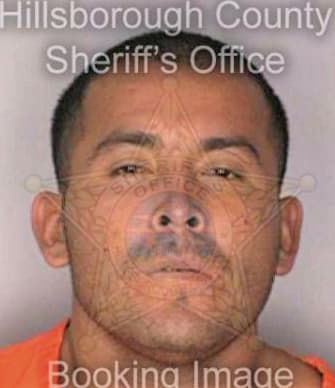 Sebuenocruz Ferman - Hillsborough County, FL 