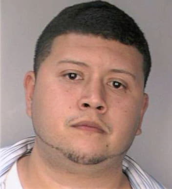 Zuluaga Henry - Hillsborough County, FL 