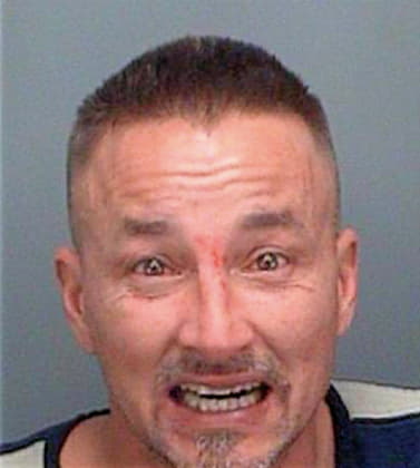 Collins Lee - Pinellas County, FL 