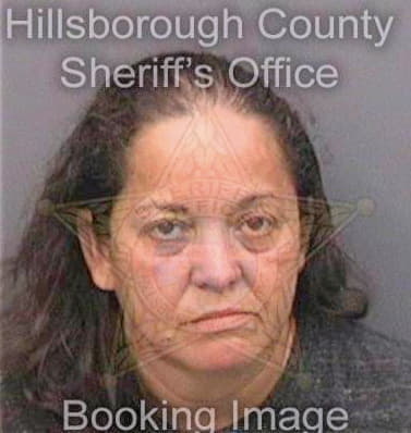 Baezcotto Marisol - Hillsborough County, FL 