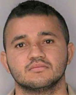 Hernandez Walter - Hillsborough County, FL 