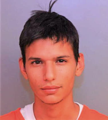 Bermudez-Torres Denys - Polk County, FL 